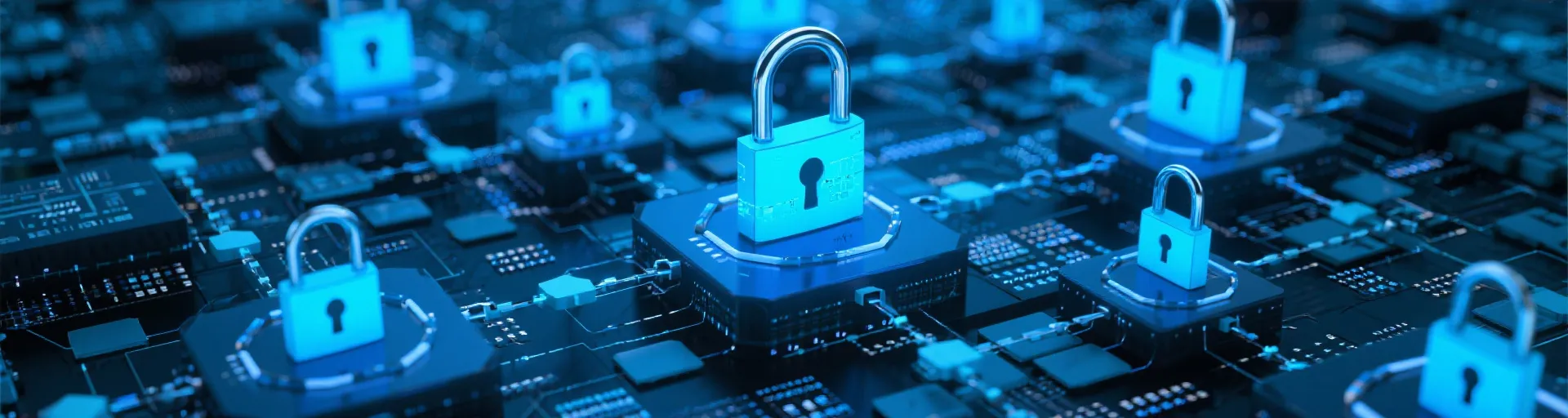 Security Background